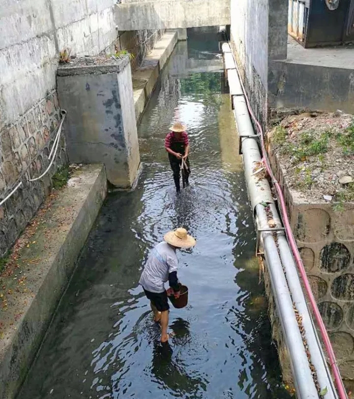 沙巴体育试玩